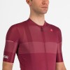 Bekleidung Herren Trofeo Giro d'Italia 2024 Trikot-Bordeaux Bekleidung Herren Trofeo Giro d'Italia 2024 Trikot-Bordeaux