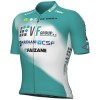 Bekleidung Herren Ale VF Group-Bardiani CSF-Faizane 2024 trikot