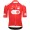 Bekleidung Herren Q36.5 Tour de Suisse 2024 Gregarius Pro trikot-Climber