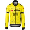 Bekleidung Herren Agu Team Visma Lease Jacke bei bike 2024