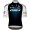 Bekleidung Herren Q36.5 Pro Cycling Team 2025 Gregarius Pro trikot
