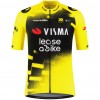 Bekleidung Herren Team Visma Lease a bike 2025 The Wingbeat trikot