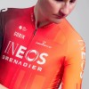 Bekleidung Herren Gobik Ineos Grenadiers 2025 Odyssey trikot