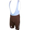 AG2R LA MONDIALE 2015 Trägerhose AG2R LA MONDIALE 2015 Trägerhose