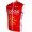 COFIDIS 2015 Wind-Weste