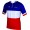 FRANCAISE DES JEUX(FDJ) Französischer Meister 2014/2015 Kurzarmtrikot(kurzer Reißverschluss)-B'TWIN