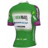 Green Project-Bardiani Csf-Faizane' 2023 Set(Radtrikot langer RV+Trägerhose)-ALE